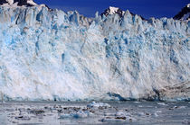 Gletscher in Alaska von Reinhard Pantke