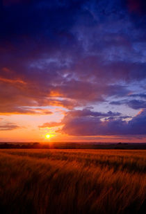 End of the Day by Keld Bach