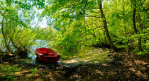 The Red Boat by Keld Bach