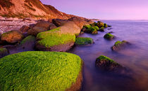 Mossy Rocks on the Beach von Keld Bach