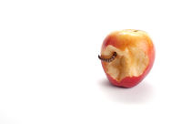 Bad apple II von Ken Howard