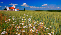 Countryside by Keld Bach