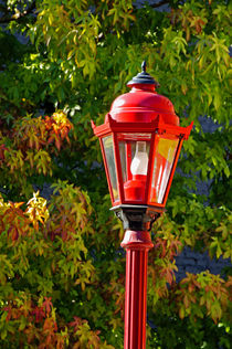 RED LANTERN AND AUTUMN LEAVES  by John Mitchell