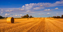 Hay Bales by Keld Bach