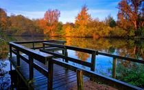 Morning in the Park by Keld Bach