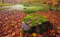 Mossy Rock by Keld Bach