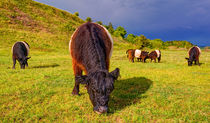 Mrs. Galloway by Keld Bach