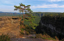 Wild Germany von Wolfgang Dufner