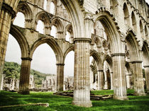 Cloisters of Rievaulx Abbey von Sarah Couzens