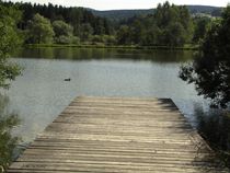 Steg am See mit Ente von badauarts