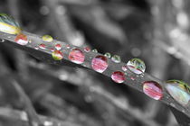 Bunte Tropfen - colorful drops von ropo13