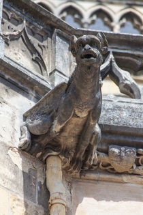 Gargoyle on St.-Cyr-Ste.-Julitte by safaribears