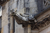 Gargoyle on St.-Cyr-Ste.-Julitte von safaribears