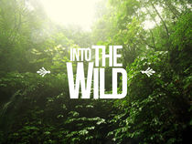 Into the wild von Julien LAGARDÈRE