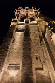 Night shot of Cathedral St. Louis  von safaribears