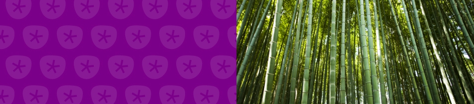 Banner_bambus