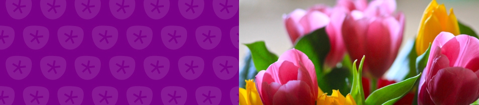 Banner_blumensträuße