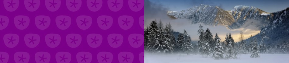 Banner_schneelandschaften