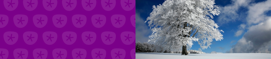 Banner_winter